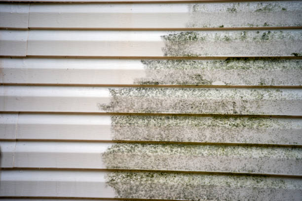 Best Storm Damage Siding Repair  in Brooklyn, WI