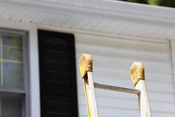Best Steel Siding Installation  in Brooklyn, WI